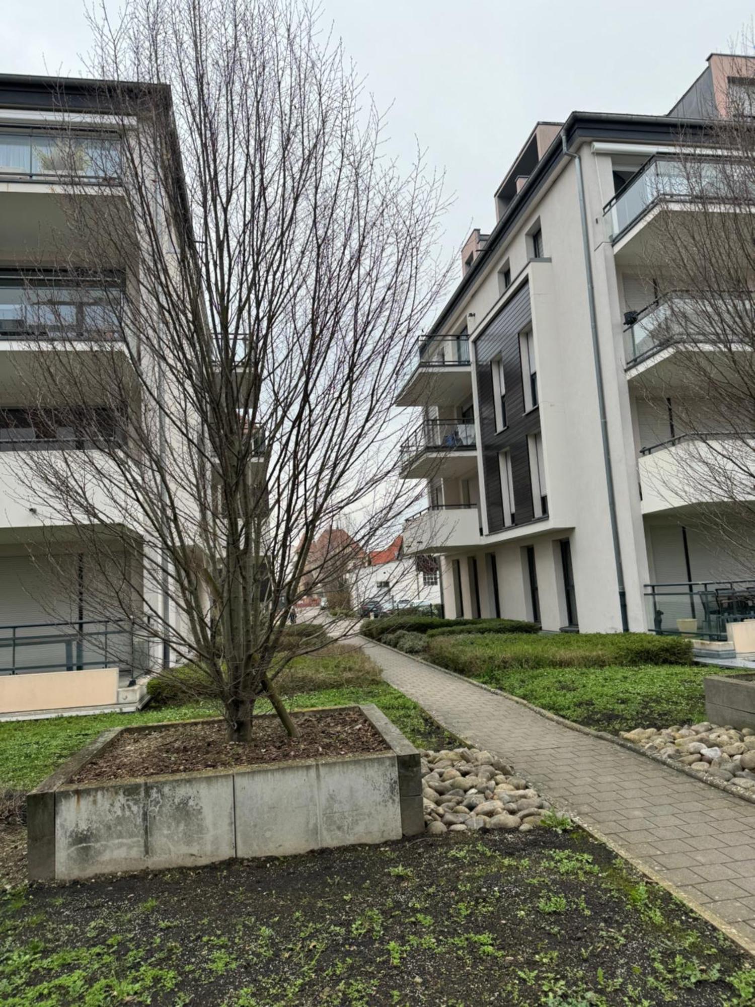Le "Petit Colmarien" A 1Mn Du Centre Apartment Exterior foto